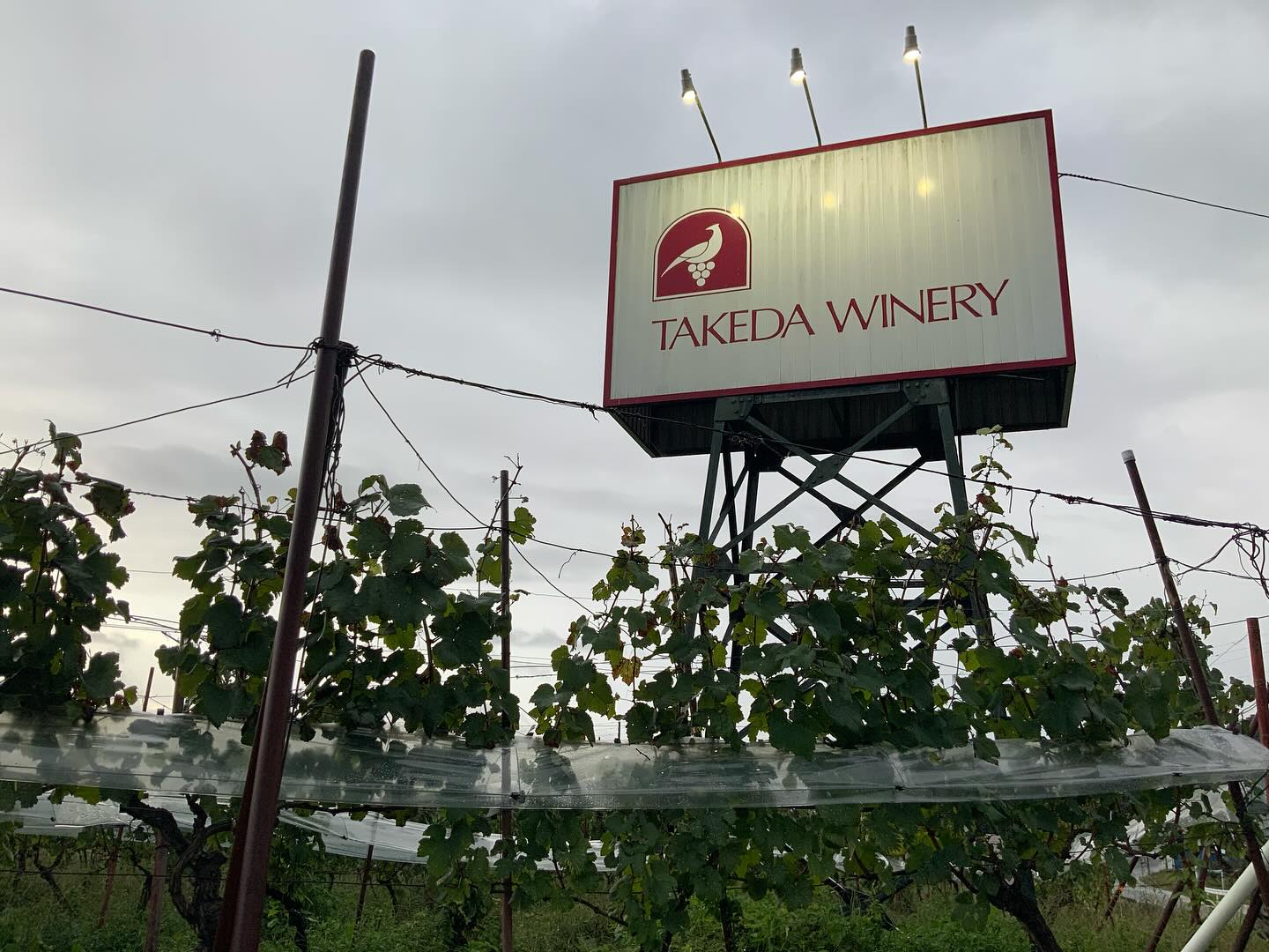 TAKEDA WINERY